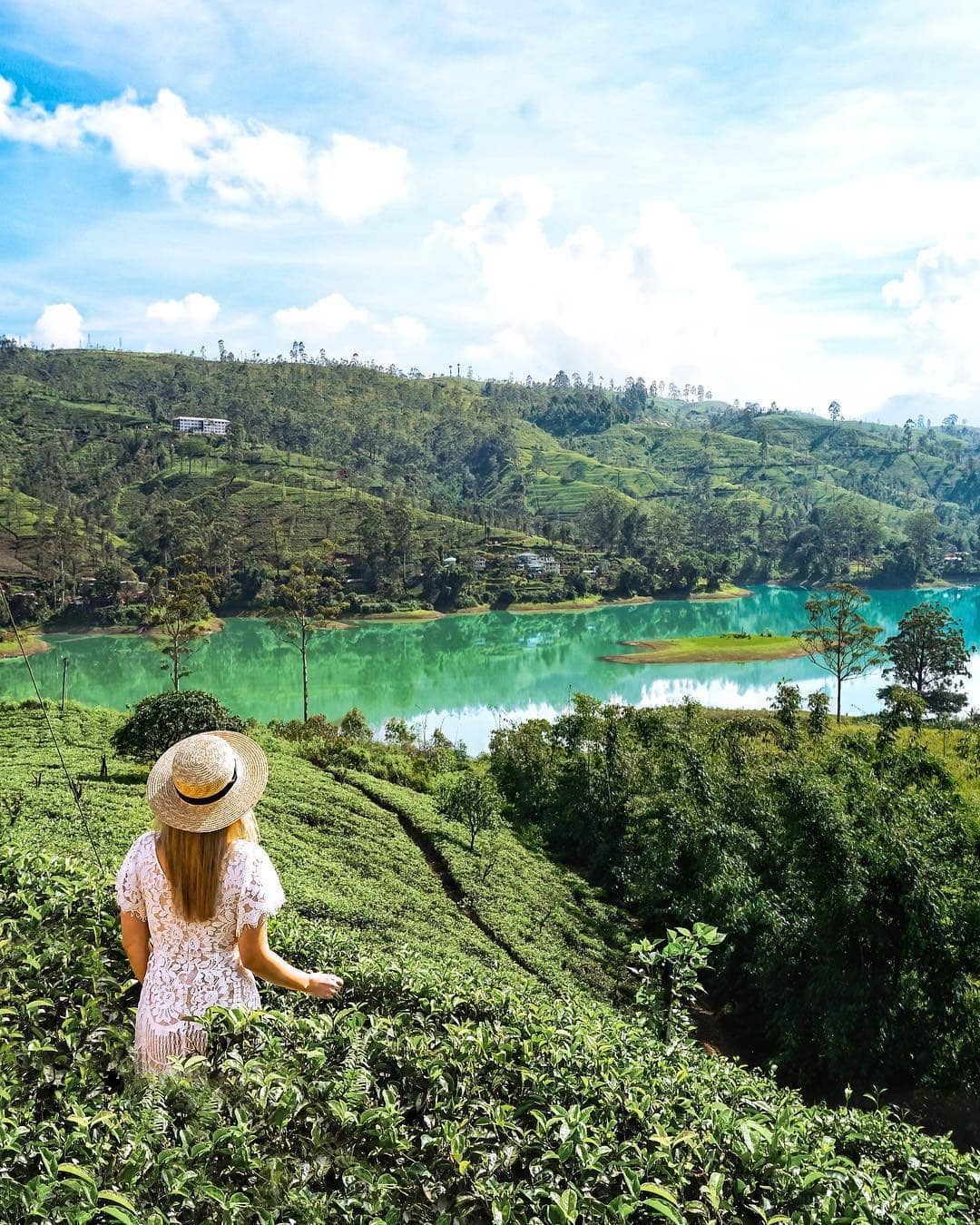 Tham quan đồn điền chè và thưởng thức món trà dilmah ngon nhất trên thế giới 