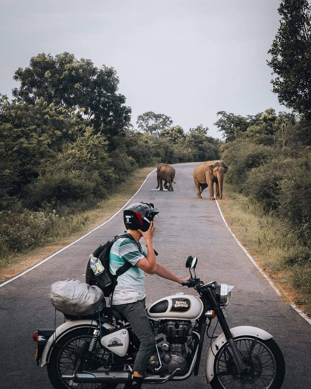 Xe máy và xe tuktuk là hai phương tiện di chuyển phổ biến nhất ở Srilanka